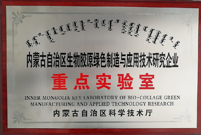 ��ҳ| ���������й��ٷ���վ