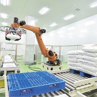 �Զ�����е��