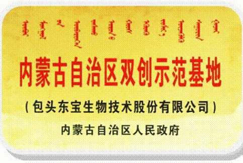 ���ɹ�������˫����ģ����